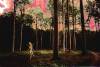 Alfen i den mystiske skov - Lavet af Minna 1996